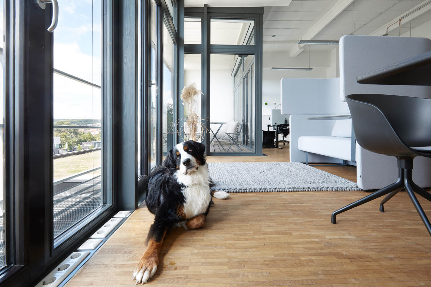 Roland Troll Fotografie