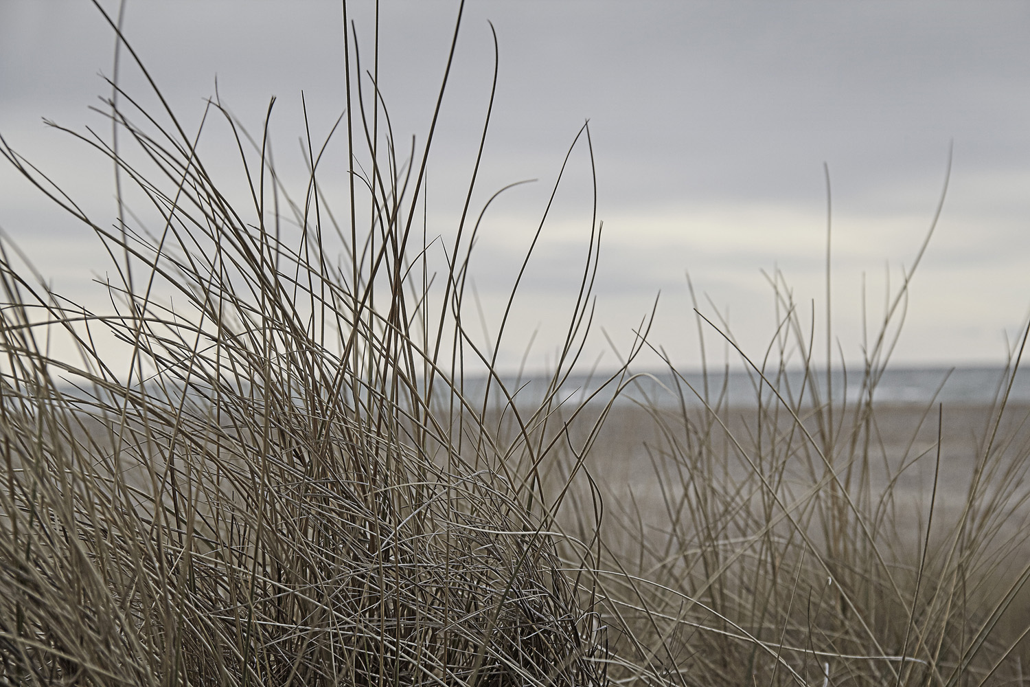 Roland Troll Fotografie